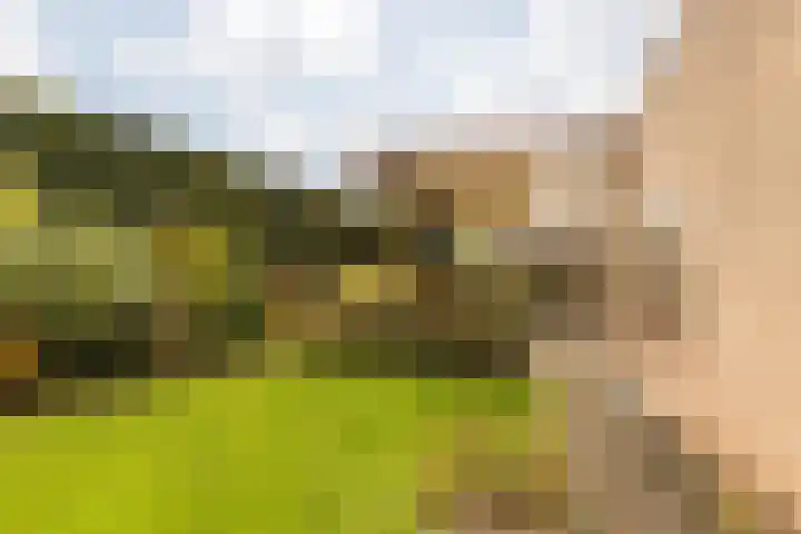 Pascal Visschersstraat 38 Sweikhuizen thumbnail 5
