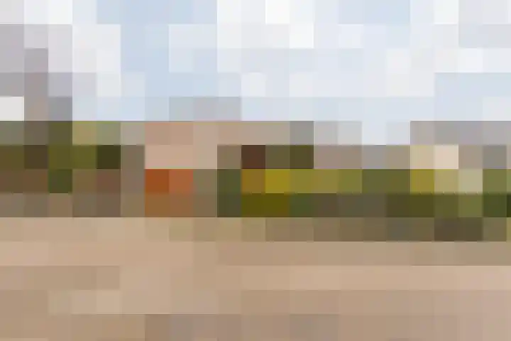 Pascal Visschersstraat 38 Sweikhuizen thumbnail 7