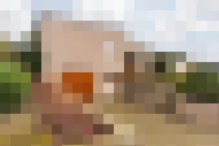 Pascal Visschersstraat 38 Sweikhuizen thumbnail 8
