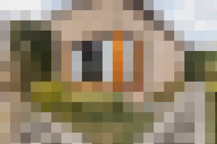 Pascal Visschersstraat 38 Sweikhuizen thumbnail 9