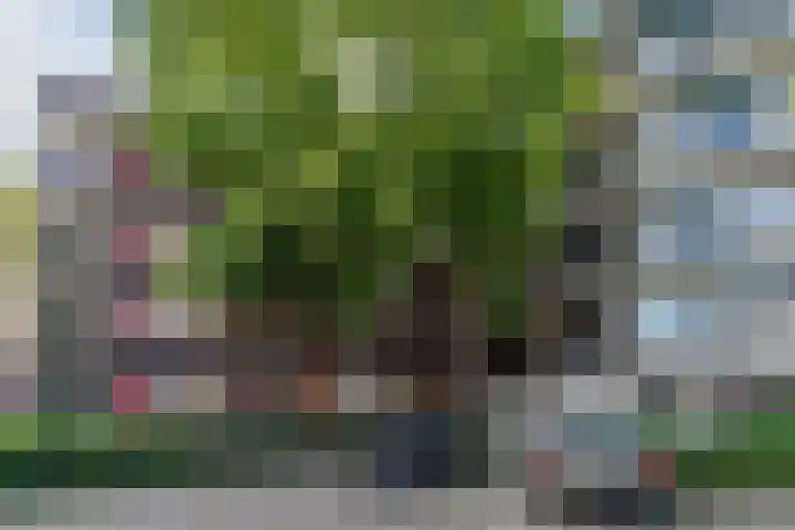 Pascalerf 32 Tilburg thumbnail 21