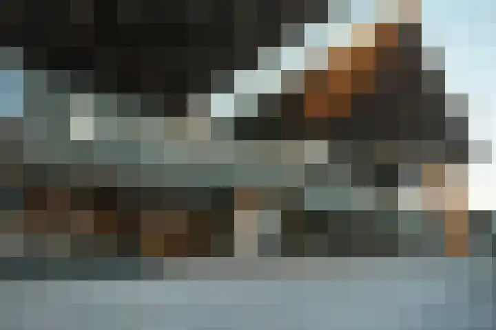 Pascalerf 32 Tilburg thumbnail 23