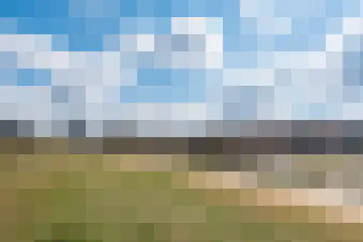 Pascalerf 32 Tilburg thumbnail 25