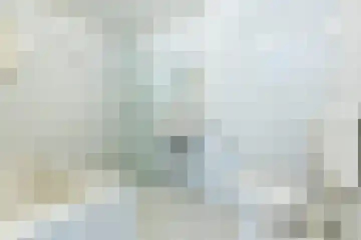 Pascalerf 46 Tilburg thumbnail 8