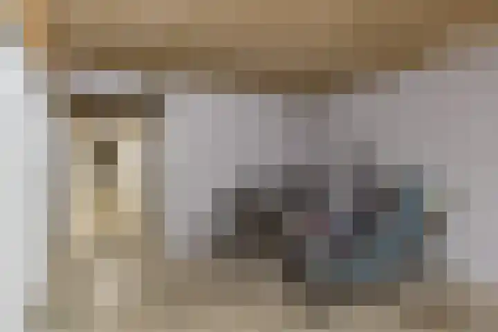 Pascalerf 54 Tilburg thumbnail 11