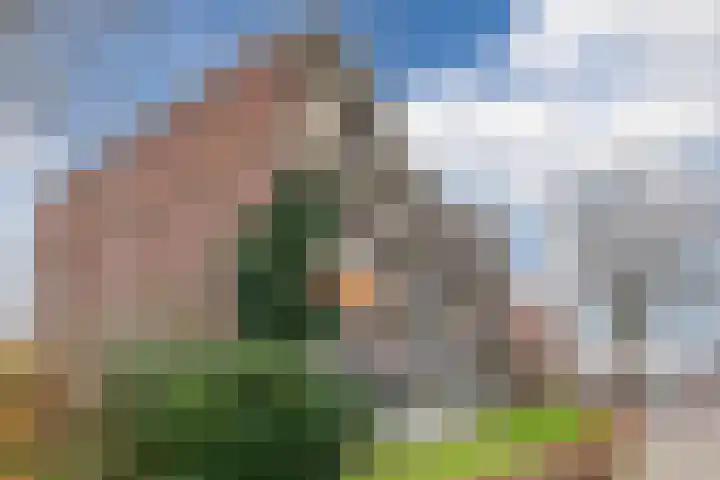 Pascalerf 78 Tilburg thumbnail 25