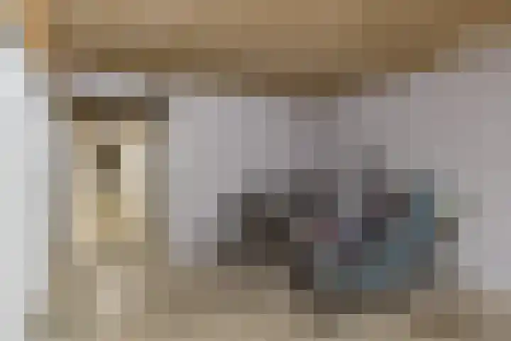 Pascalerf 96 Tilburg thumbnail 11