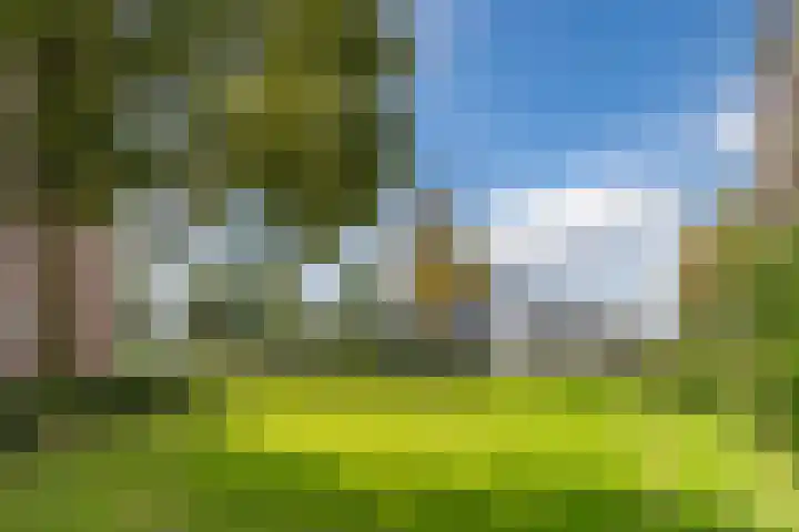 Pascalerf 96 Tilburg thumbnail 12