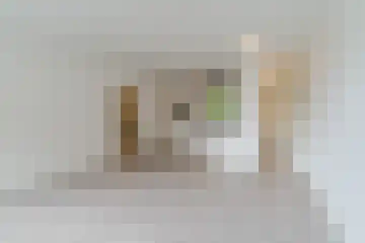 Pascalerf 96 Tilburg foto 2