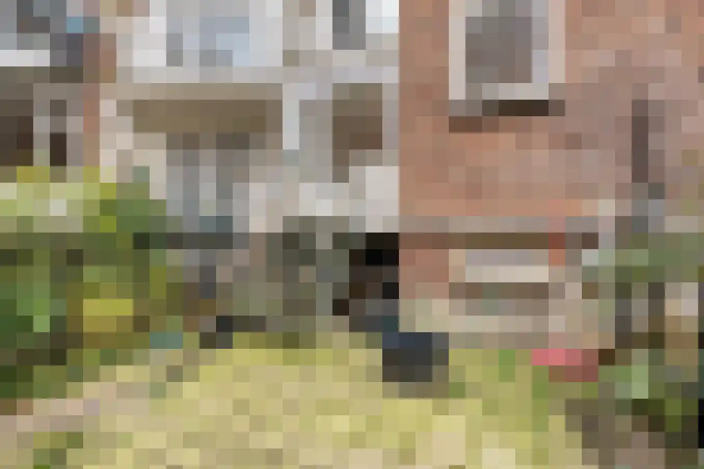 Pascalstraat 16 Schiedam thumbnail 33