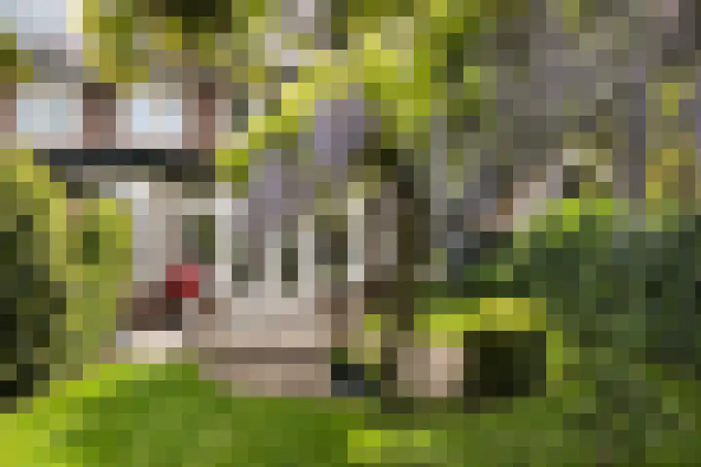 Pascalstraat 2 Amersfoort thumbnail 30