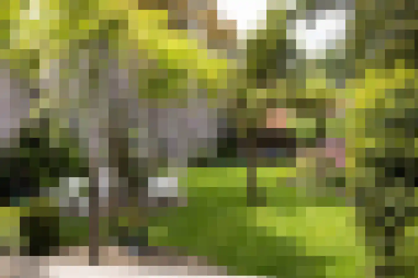 Pascalstraat 2 Amersfoort thumbnail 31