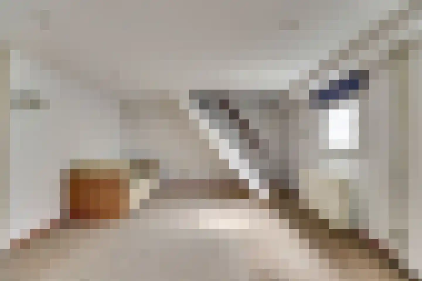 Pascalstraat 3 2a Reeuwijk thumbnail 18