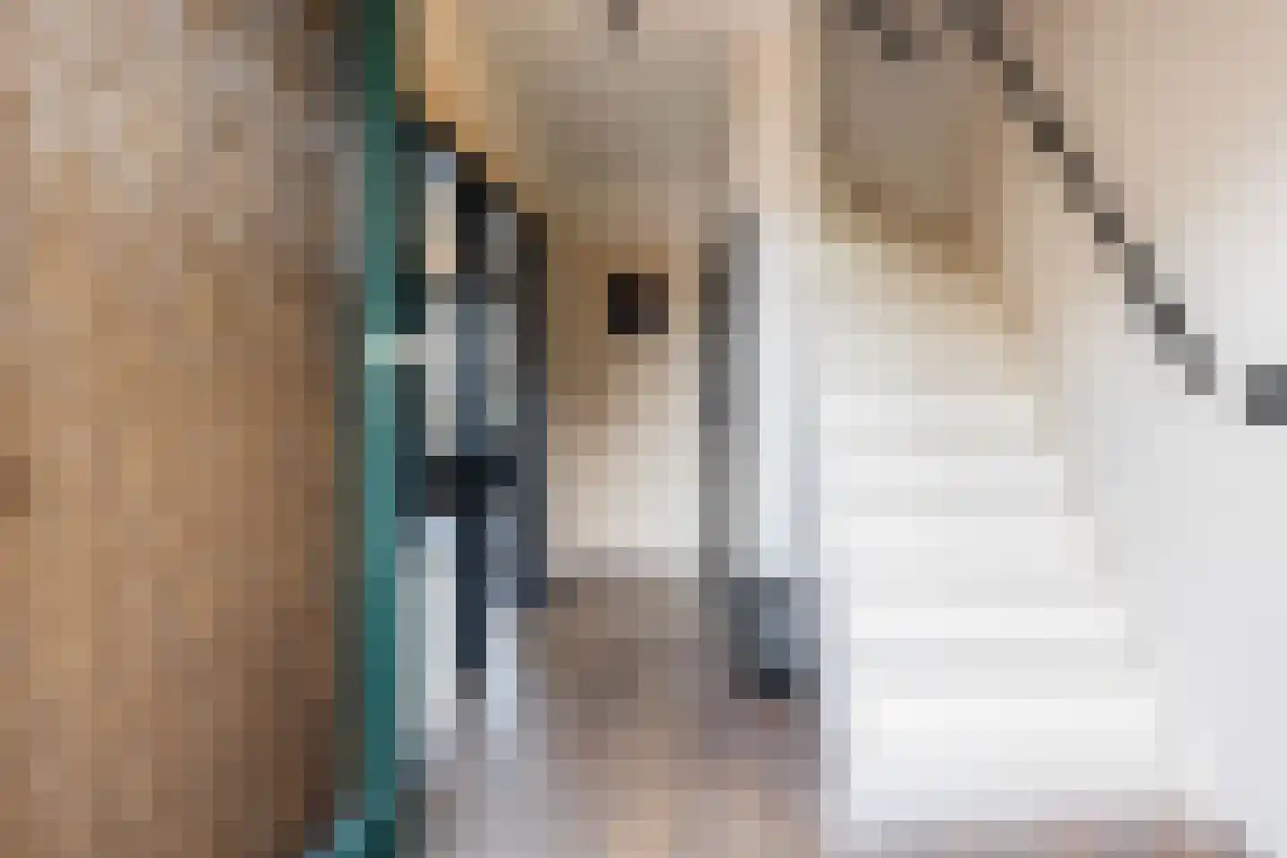 Pascalstraat 5 Apeldoorn thumbnail 17