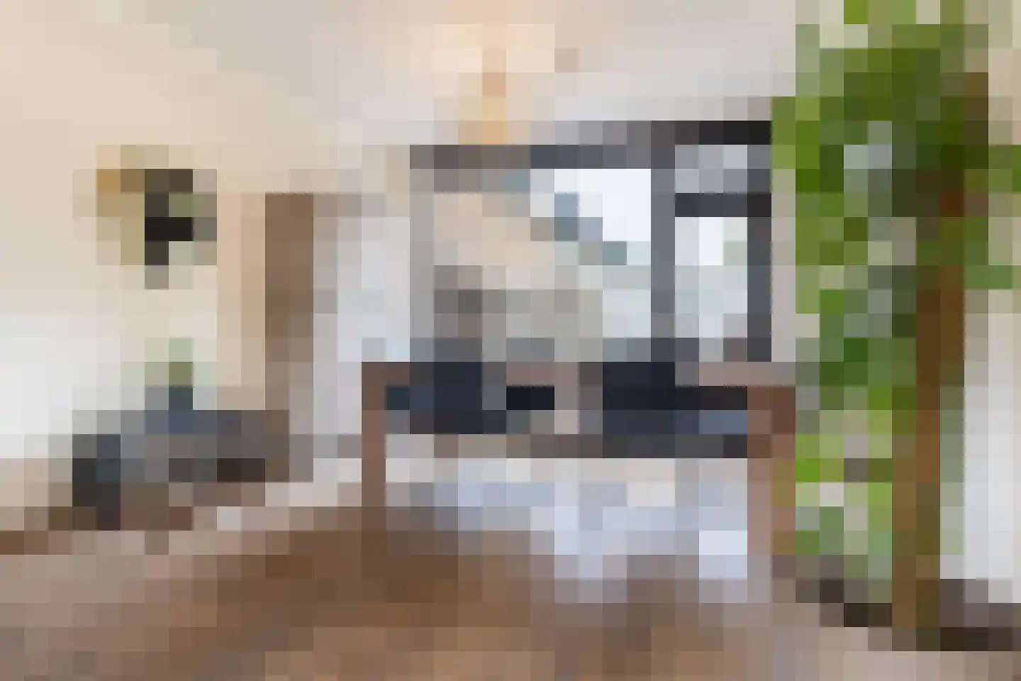 Pascalstraat 5 Apeldoorn thumbnail 6