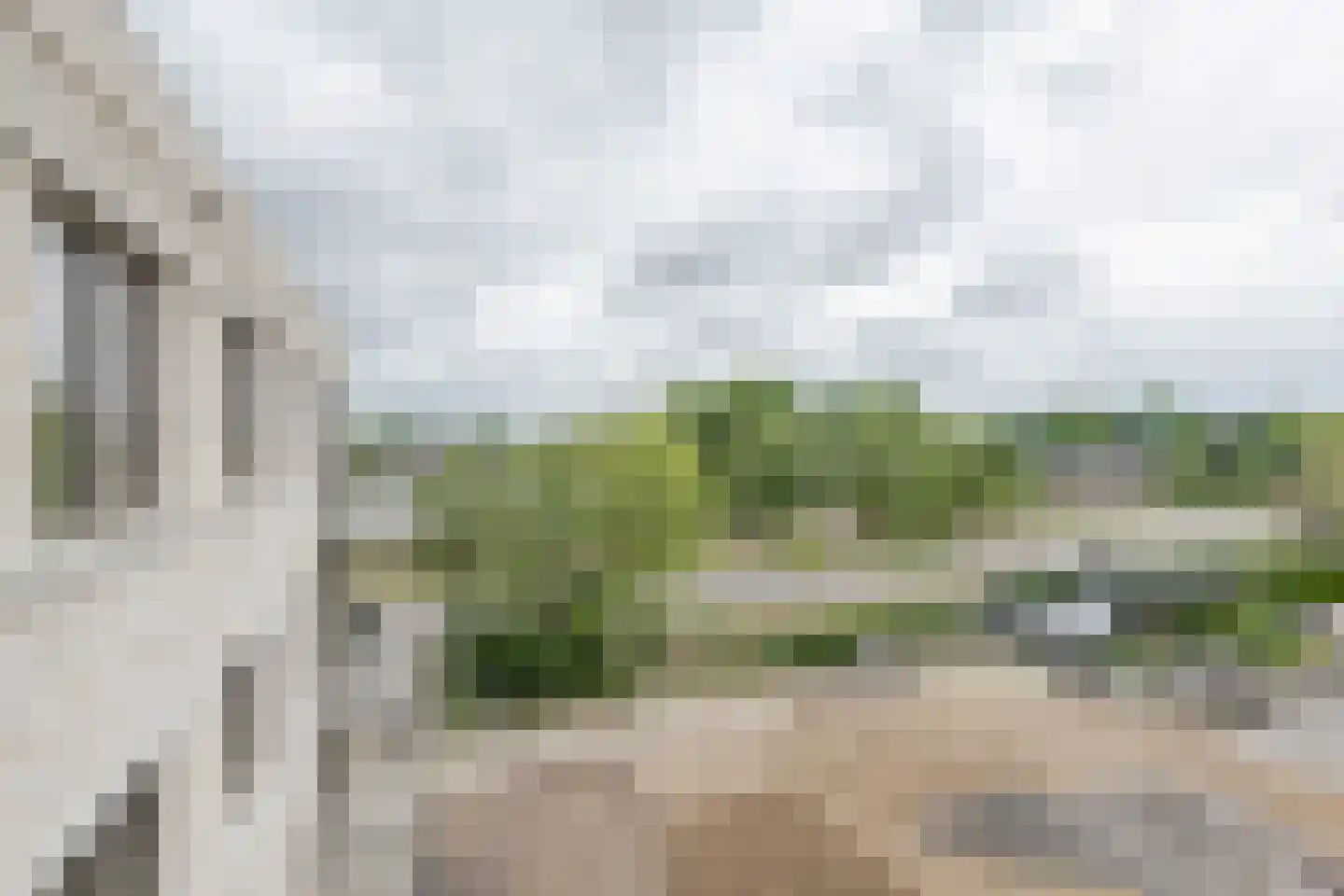 Pascalstraat 58 Barneveld thumbnail 28
