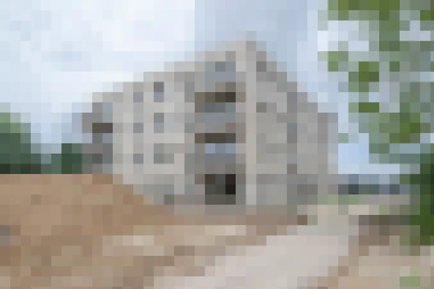 Pascalstraat 58 Barneveld thumbnail 30
