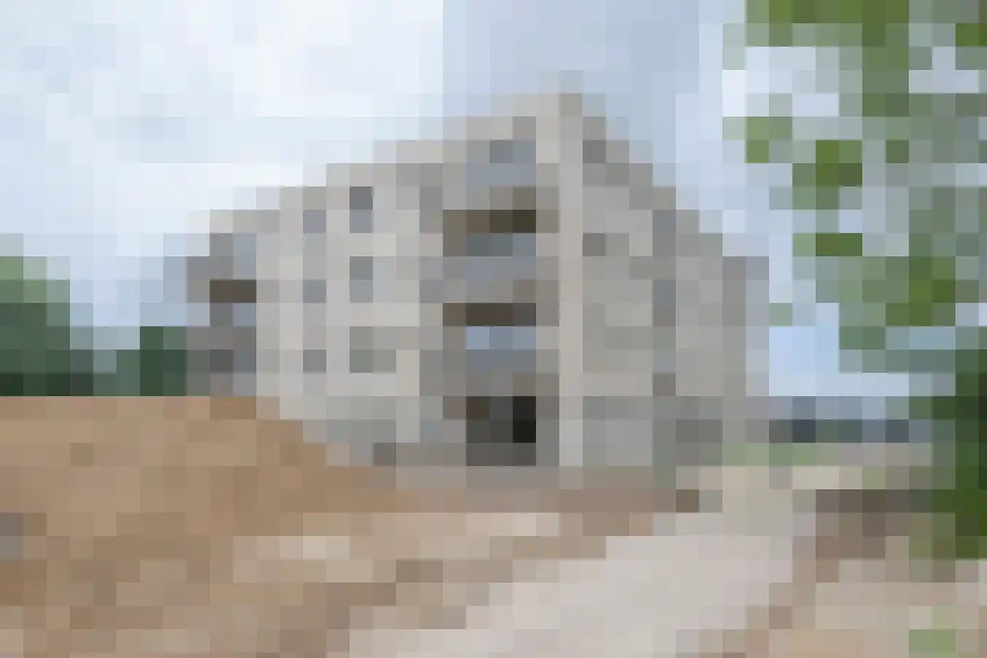 Pascalstraat 58 Barneveld thumbnail 41