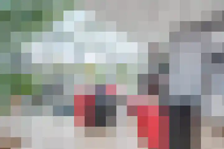Pascaltuin 14 Capelle aan den IJssel thumbnail 11