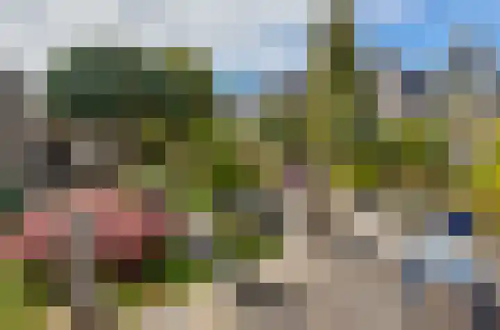 Pascaltuin 14 Capelle aan den IJssel thumbnail 12