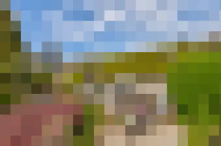 Pascaltuin 14 Capelle aan den IJssel thumbnail 13