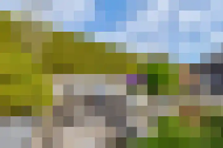 Pascaltuin 14 Capelle aan den IJssel thumbnail 15