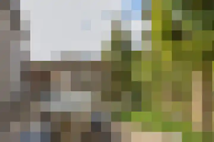 Pascaltuin 14 Capelle aan den IJssel thumbnail 18