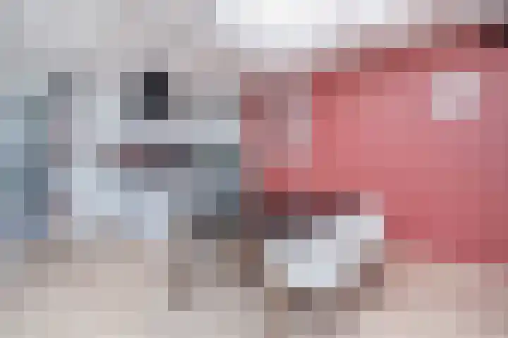 Pascaltuin 14 Capelle aan den IJssel thumbnail 21