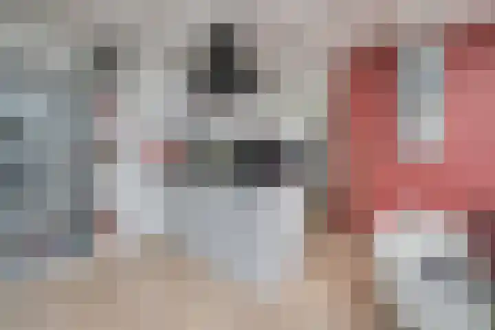 Pascaltuin 14 Capelle aan den IJssel thumbnail 22