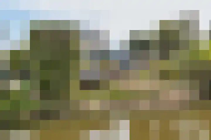 Pascaltuin 14 Capelle aan den IJssel thumbnail 33