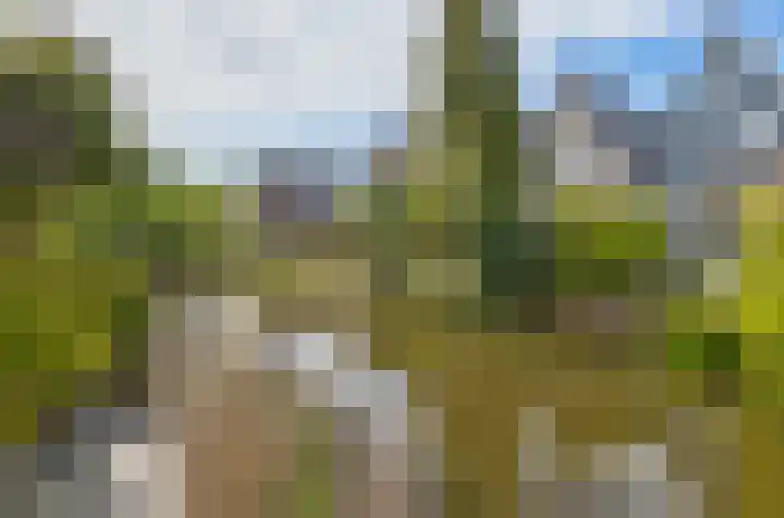 Pascaltuin 14 Capelle aan den IJssel thumbnail 4