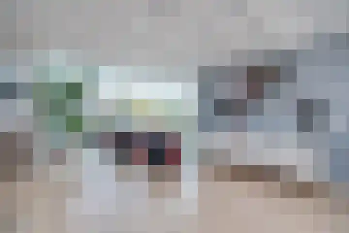 Pascaltuin 14 Capelle aan den IJssel thumbnail 9