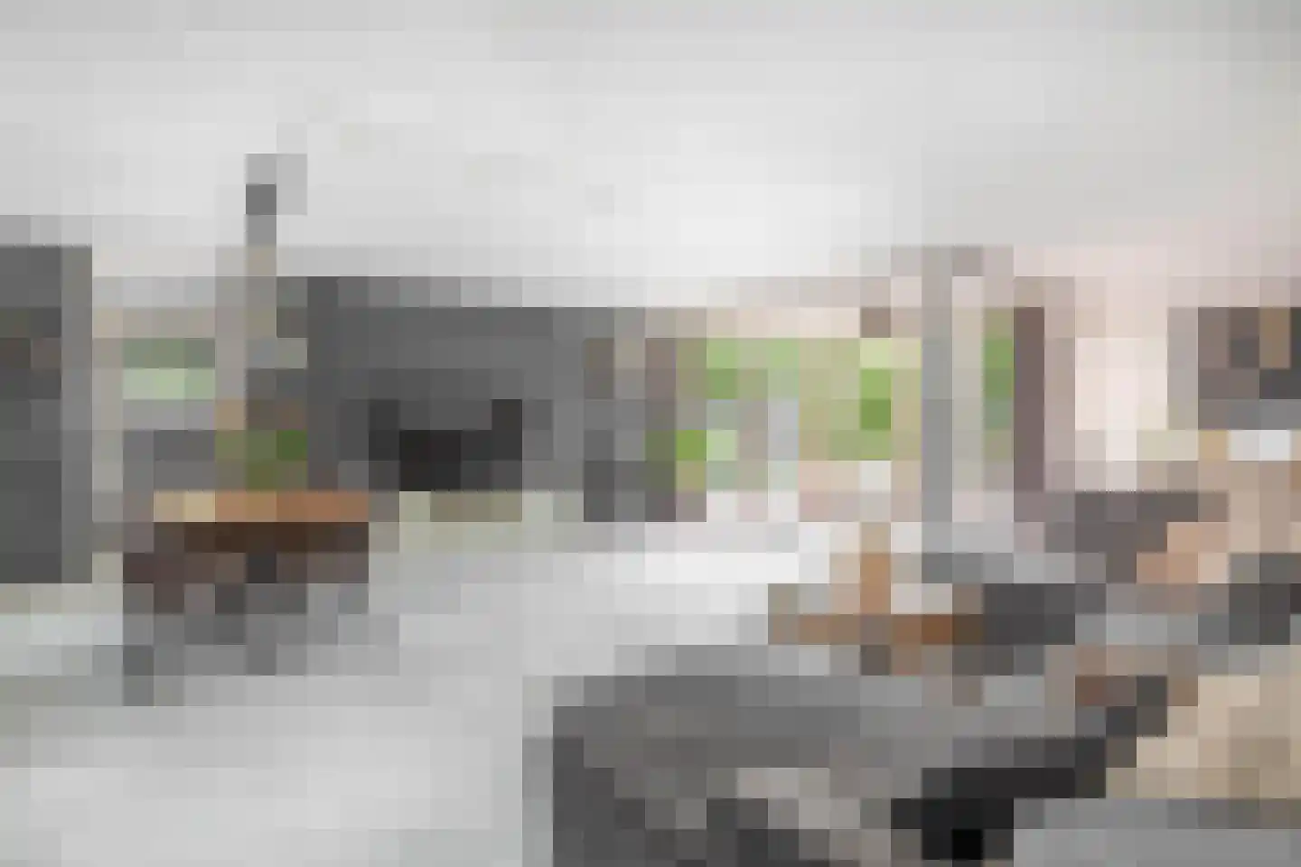 Pascaltuin 23 Capelle aan den IJssel thumbnail 10