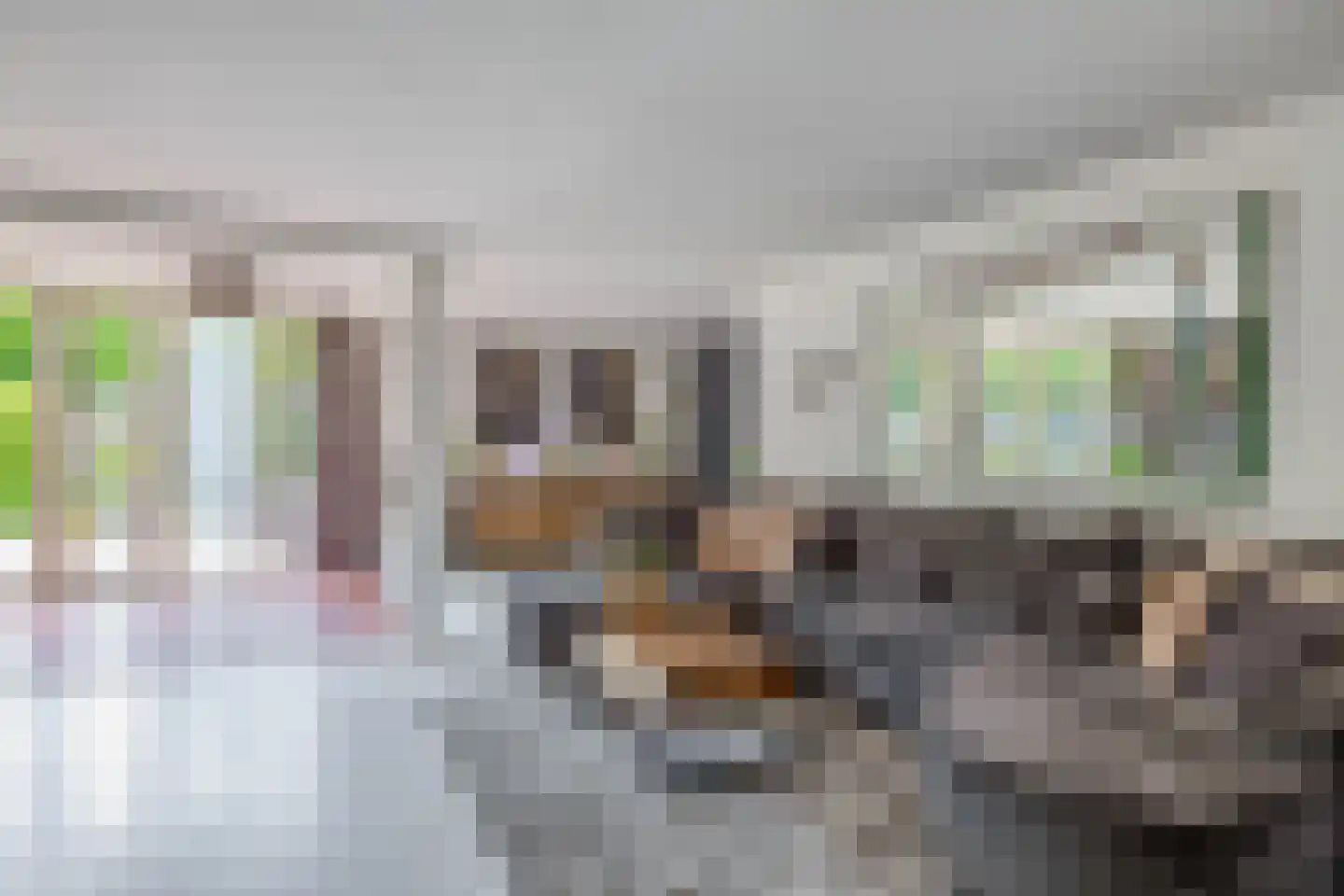 Pascaltuin 23 Capelle aan den IJssel thumbnail 11