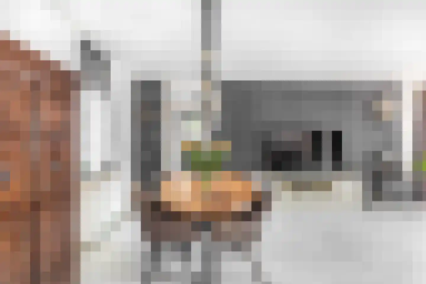 Pascaltuin 23 Capelle aan den IJssel thumbnail 14