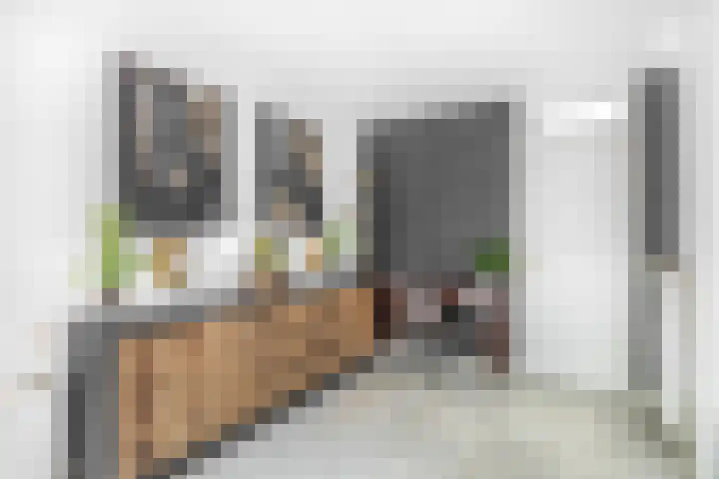 Pascaltuin 23 Capelle aan den IJssel thumbnail 15