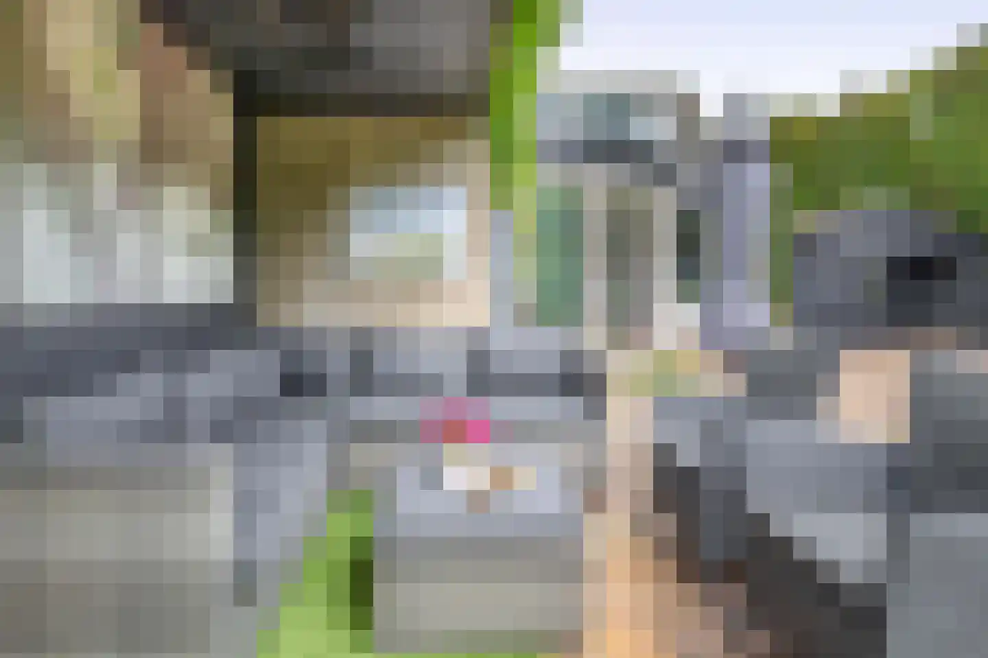 Pascaltuin 23 Capelle aan den IJssel thumbnail 24
