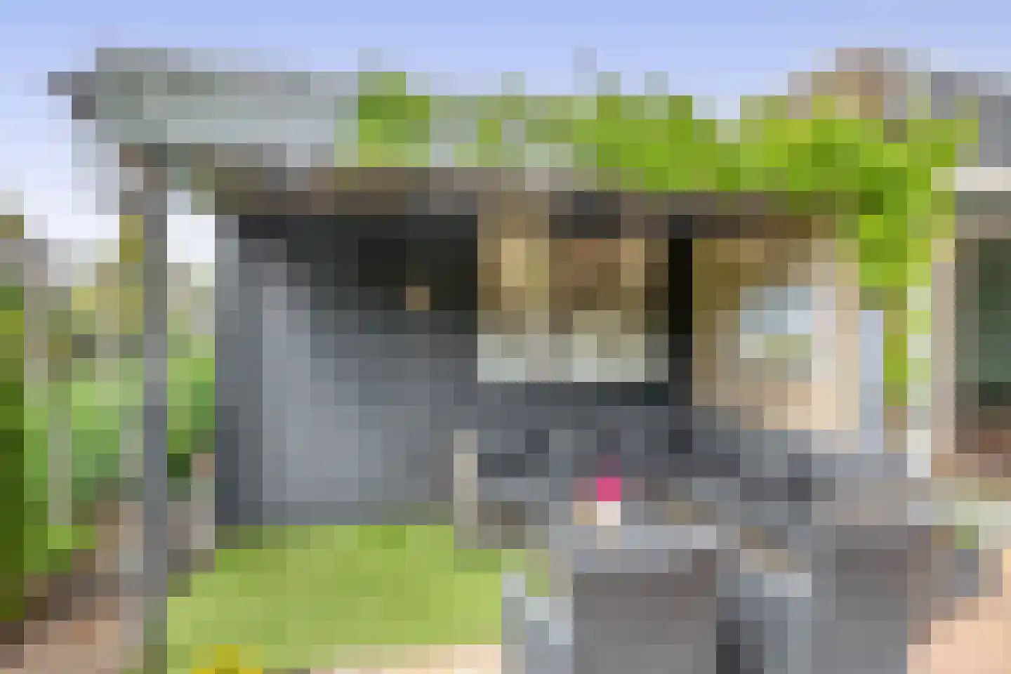 Pascaltuin 23 Capelle aan den IJssel thumbnail 25