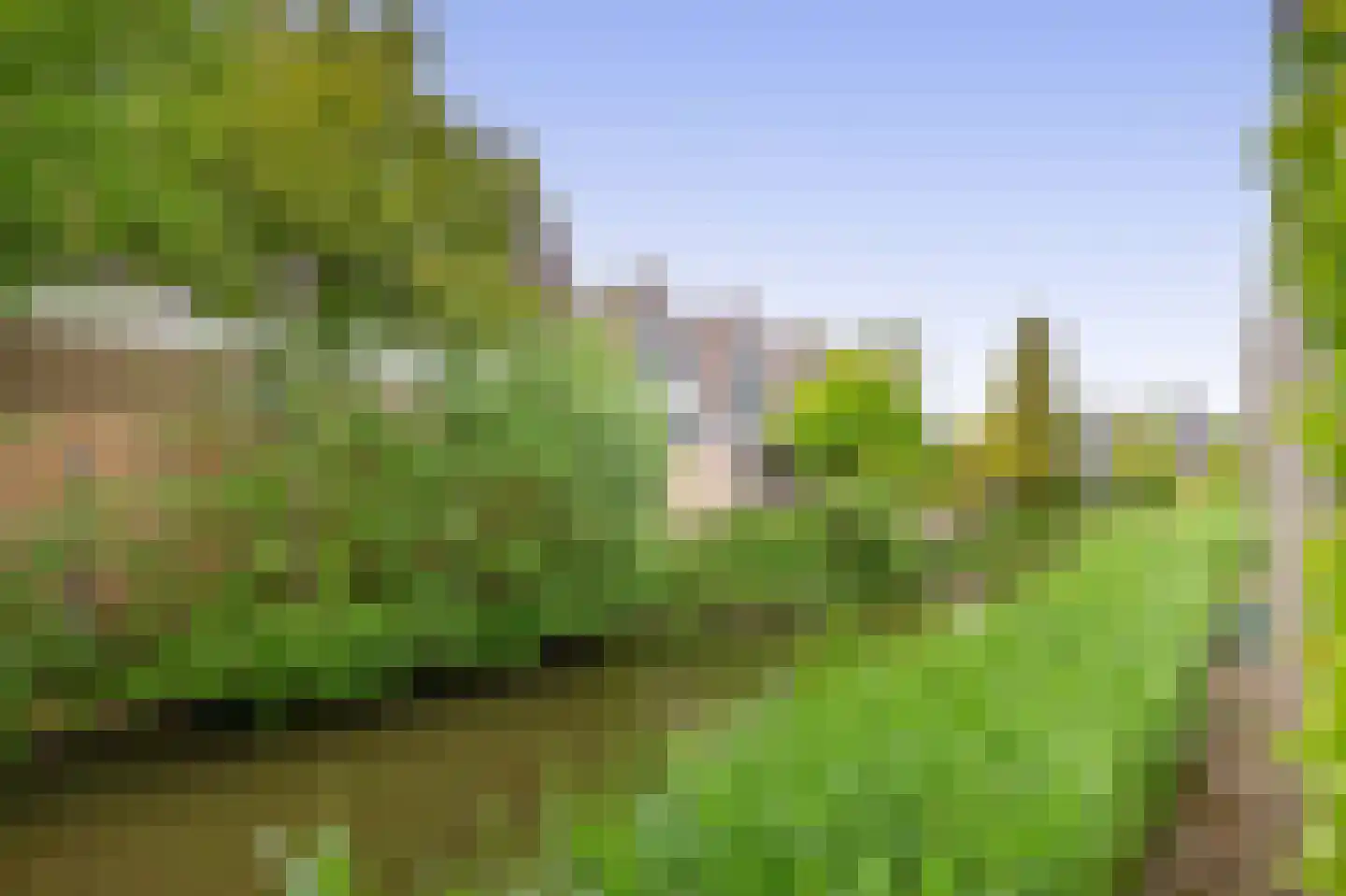 Pascaltuin 23 Capelle aan den IJssel thumbnail 49