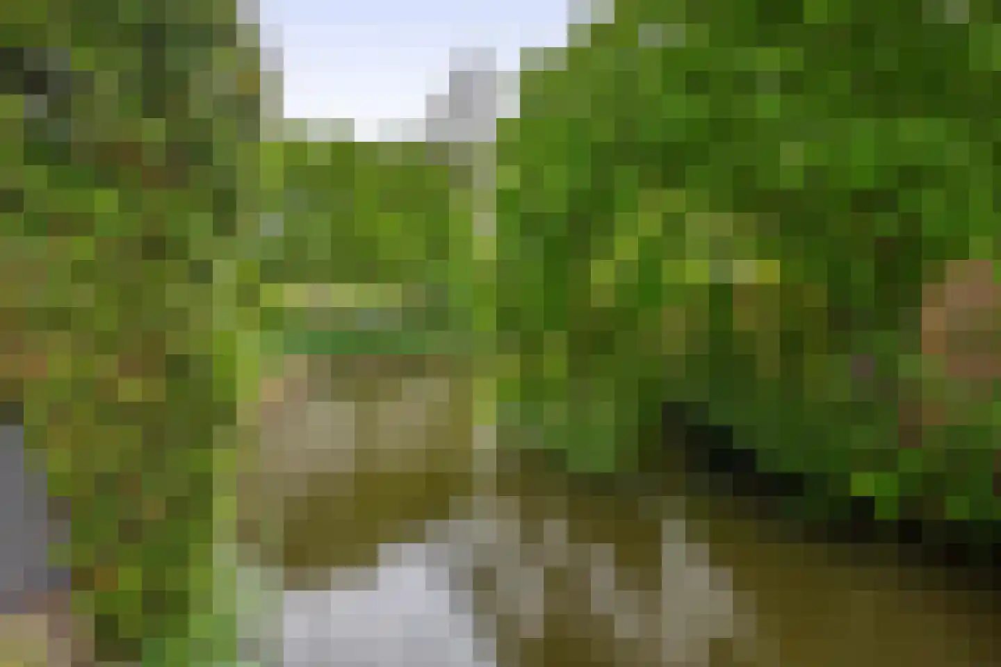 Pascaltuin 23 Capelle aan den IJssel thumbnail 50