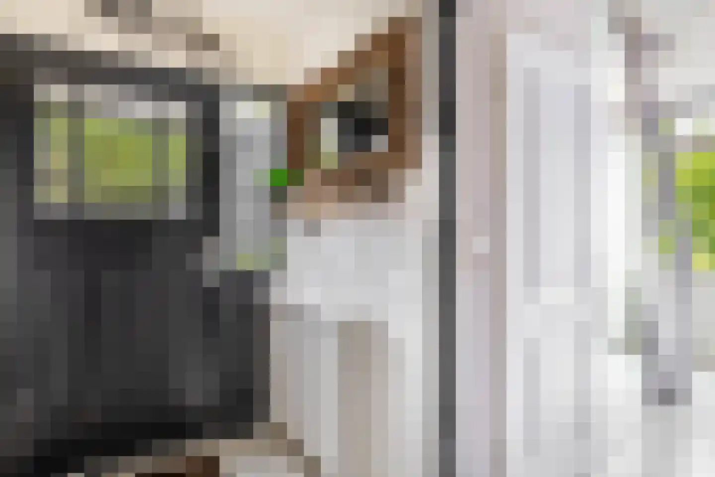 Pascaltuin 23 Capelle aan den IJssel thumbnail 6