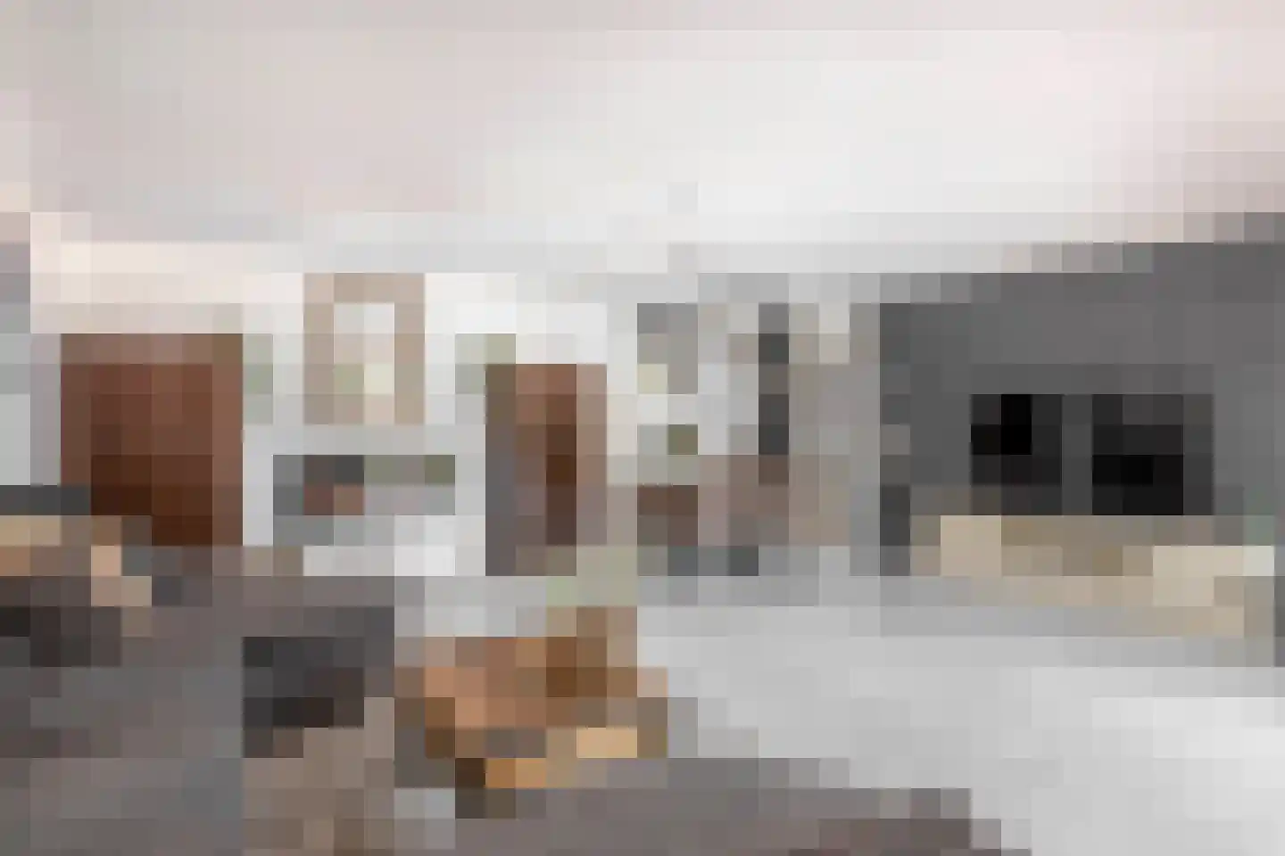 Pascaltuin 23 Capelle aan den IJssel thumbnail 9