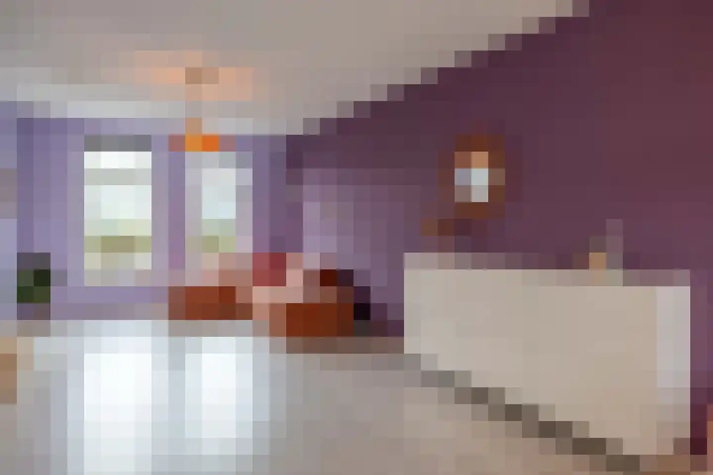 Pascher Harstraat 22 Ysselsteyn thumbnail 13