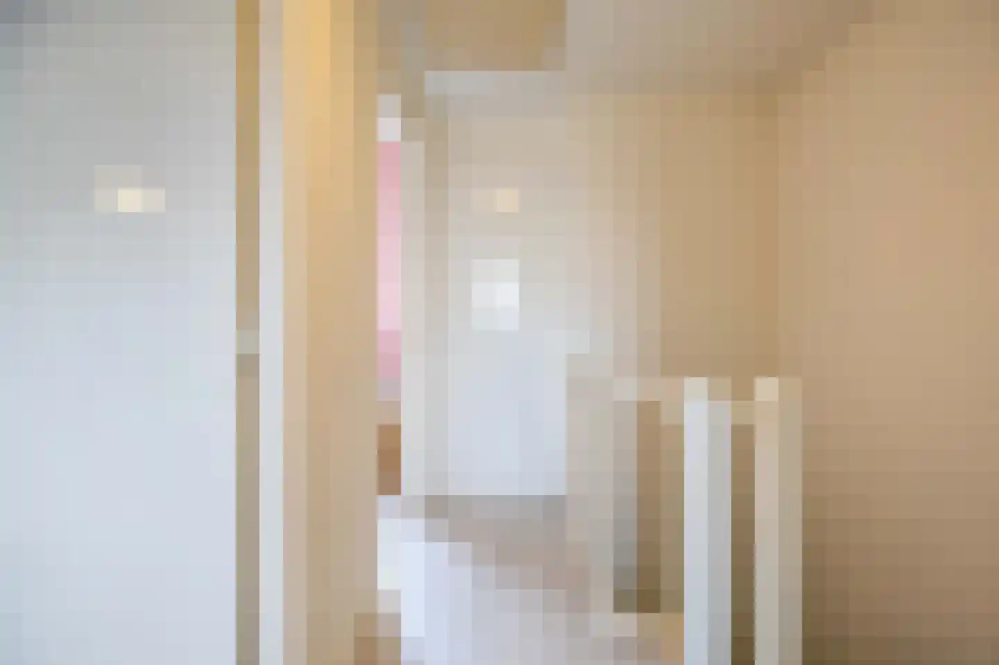 Pascher Harstraat 22 Ysselsteyn thumbnail 17