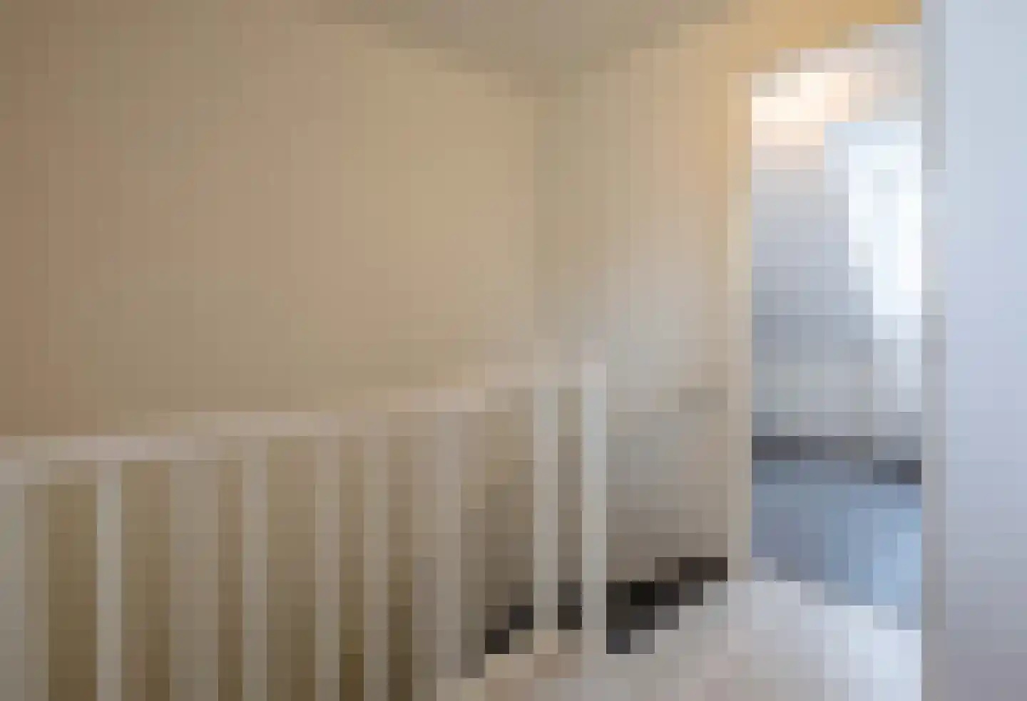 Pascher Harstraat 22 Ysselsteyn thumbnail 18