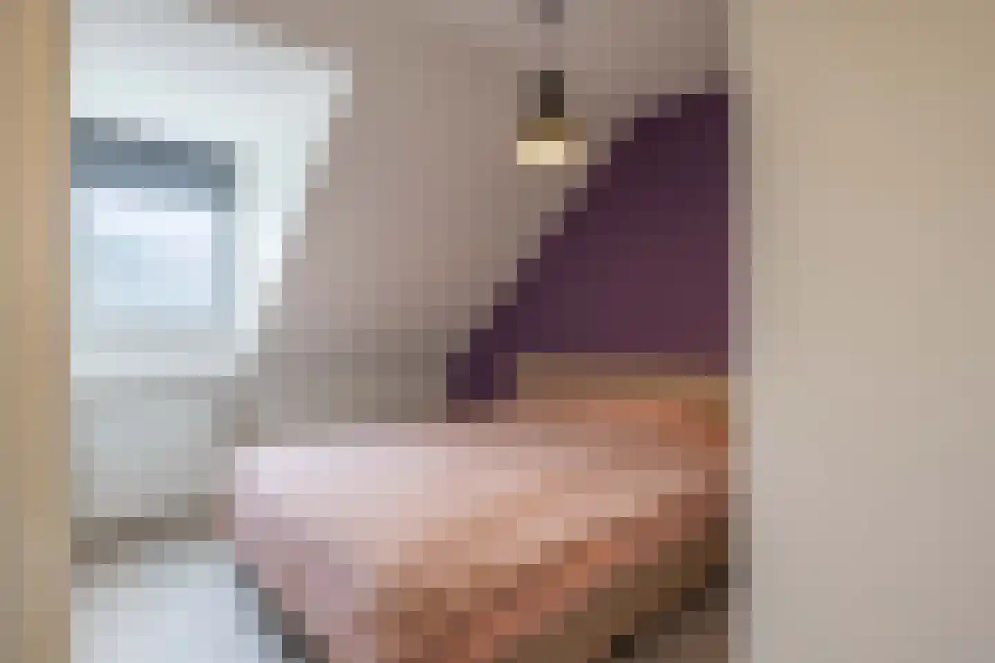Pascher Harstraat 22 Ysselsteyn thumbnail 19