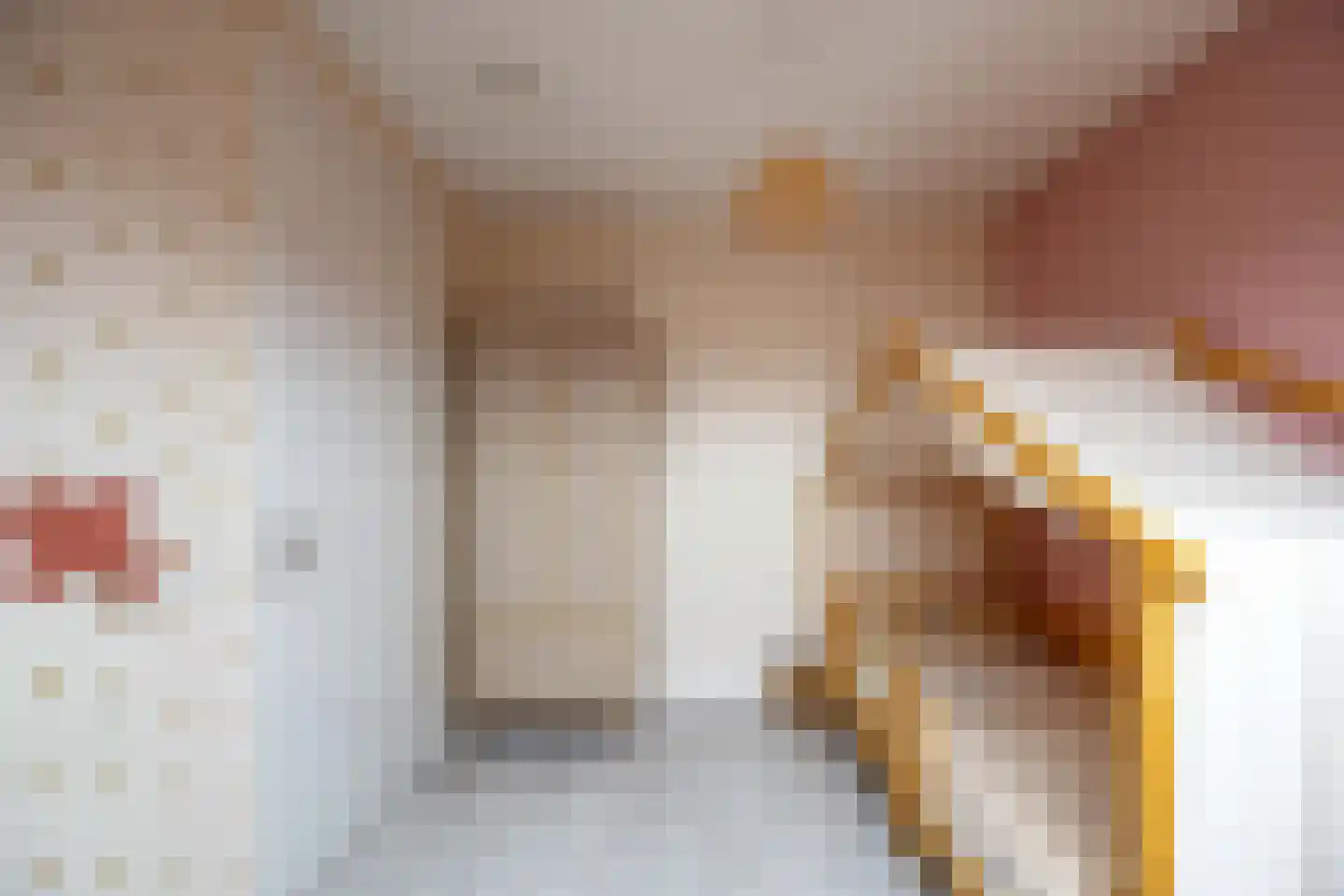 Pascher Harstraat 22 Ysselsteyn thumbnail 22