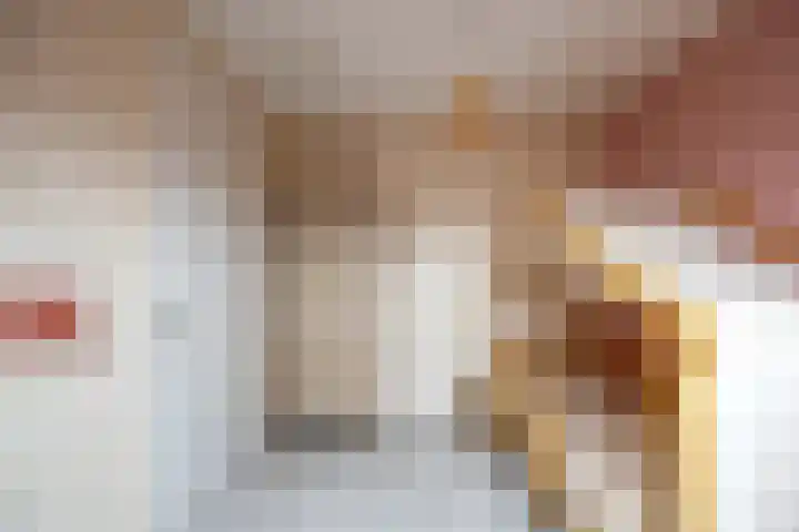 Pascher Harstraat 22 Ysselsteyn thumbnail 22