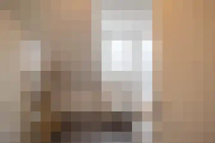 Pascher Harstraat 22 Ysselsteyn thumbnail 23