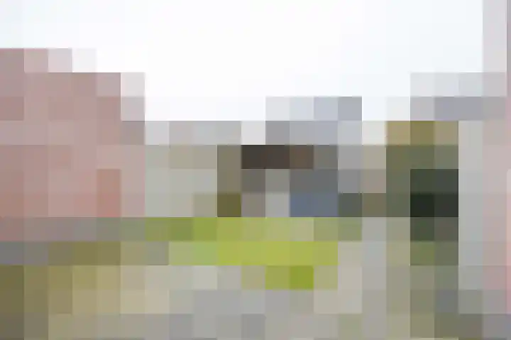 Pascher Harstraat 22 Ysselsteyn thumbnail 25